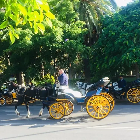 Deluxe Supreme Apartament Malaga